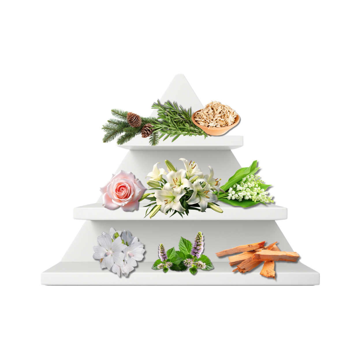 Sofia Rose Duftpyramide